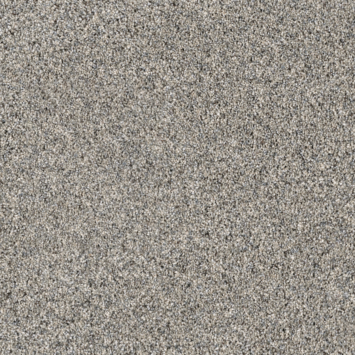 Dream Weaver Parade - Dearborn Carpet