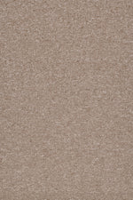 Load image into Gallery viewer, Commercial Carpet (ST)
