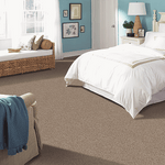 Load image into Gallery viewer, Mohawk Achiever Carpet
