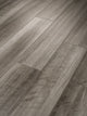 Oyster Oak — 00591