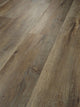 Modeled Oak — 00709
