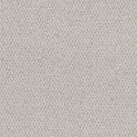 Load image into Gallery viewer, Palazzo DreamWeaver carpet
