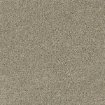 Load image into Gallery viewer, Acclaim DreamWeaver carpet
