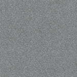 Load image into Gallery viewer, Clearwater Ii DreamWeaver carpet
