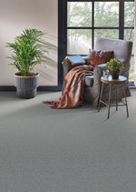 Load image into Gallery viewer, Clearwater Iii DreamWeaver carpet room scene
