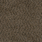 Load image into Gallery viewer, Step Up DreamWeaver carpet
