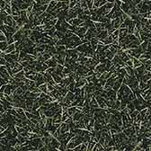 GRASS