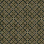 Load image into Gallery viewer, MANDARIN 3405 - FIELD 2
