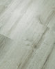 Beach Oak — 01023