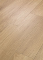 Load image into Gallery viewer, Distinction Plus - Hazelnut Brown
