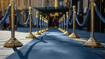 Load image into Gallery viewer, Showtime I Mohawk EverStrand carpet
