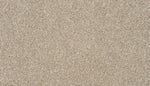 Load image into Gallery viewer, Apollo III - ['Vanilla Drift'] (['735'])
