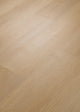 River Bend Oak — 00296