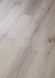Beach Oak — 01023