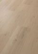 Ashen Sand — 02149