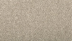 Load image into Gallery viewer, Terrain I - ['Silver Dollar'] (['938'])

