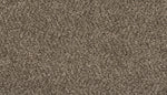 Load image into Gallery viewer, Revamped II - ['Shimmer Ash'] (['19'])
