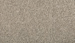 Load image into Gallery viewer, Remodeled II - ['Silver Dollar'] (['02'])
