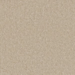 Load image into Gallery viewer, Broadcast Plus DreamWeaver carpet
