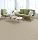 Load image into Gallery viewer, Broadcast Plus DreamWeaver carpet room scene
