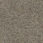 Load image into Gallery viewer, Confetti Ii DreamWeaver carpet
