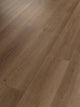 Raw Sienna — 00825