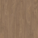 Load image into Gallery viewer, Pathways 6 - Ember
