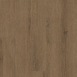 Load image into Gallery viewer, Natural Beginnings Spc - Sepia Brown
