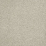Load image into Gallery viewer, Malibu Ii DreamWeaver carpet
