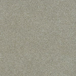 Load image into Gallery viewer, Morning Glory Iii DreamWeaver carpet
