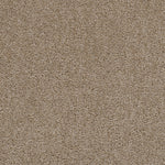 Load image into Gallery viewer, First Step DreamWeaver carpet
