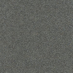 Load image into Gallery viewer, Heaven Sent Ii DreamWeaver carpet
