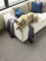 Load image into Gallery viewer, Titan I DreamWeaver carpet room scene
