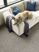 Load image into Gallery viewer, Titan Ii DreamWeaver carpet room scene
