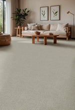 Load image into Gallery viewer, Newcastle DreamWeaver carpet room scene
