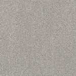 Load image into Gallery viewer, Windy City Iii DreamWeaver carpet
