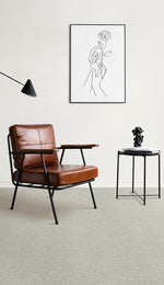 Load image into Gallery viewer, Breakview Iii DreamWeaver carpet room scene
