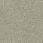 Load image into Gallery viewer, Foxwood Ii DreamWeaver carpet
