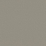 Load image into Gallery viewer, Everyday Comfort (S) Shaw nylon carpet
