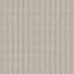 Load image into Gallery viewer, Shaw Aerial Arts — Soft Linen 00102 carpet
