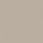 Load image into Gallery viewer, Shaw Aerial Arts — Canvas 00103 carpet
