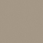 Load image into Gallery viewer, Shaw Aerial Arts — Tiramisu 00104 carpet
