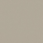 Load image into Gallery viewer, Shaw Aerial Arts — Spun Wool 00105 carpet

