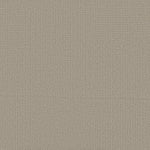 Load image into Gallery viewer, Shaw Aerial Arts — Natural Stone 00106 carpet
