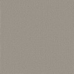 Load image into Gallery viewer, Shaw Aerial Arts — Powder Grey 00502 carpet
