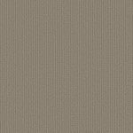 Load image into Gallery viewer, Shaw Aerial Arts — Artisan Taupe 00700 carpet
