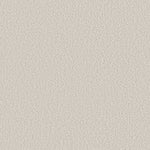 Load image into Gallery viewer, Shaw Aerial View — Cotton 00100 carpet
