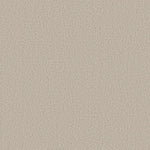 Load image into Gallery viewer, Shaw Aerial View — Canvas 00103 carpet
