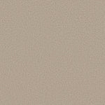 Load image into Gallery viewer, Shaw Aerial View — Tiramisu 00104 carpet
