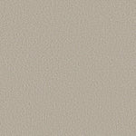 Load image into Gallery viewer, Shaw Aerial View — Spun Wool 00105 carpet
